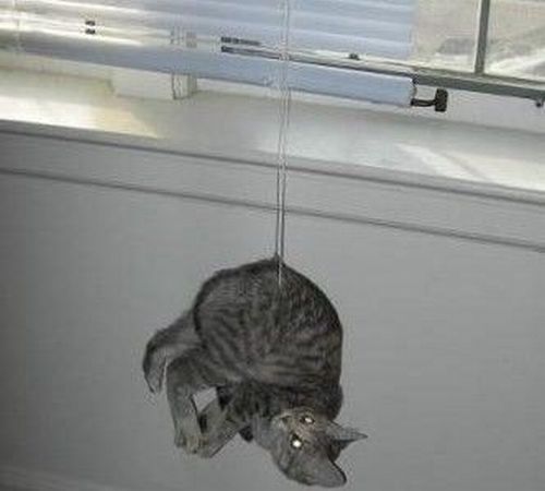 Shit happens. Part 3 (65 pics)