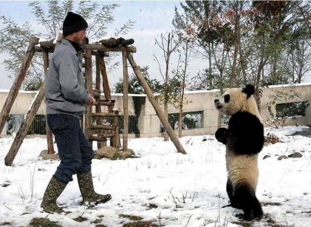 Daily picdump (116 pics)