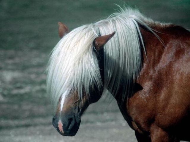 Daily picdump (116 pics)