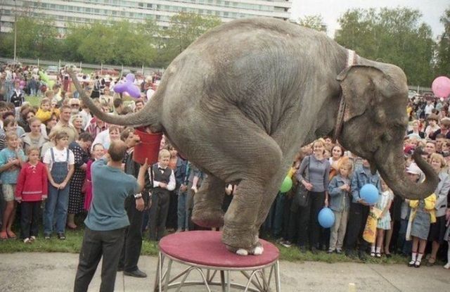 Daily picdump (116 pics)