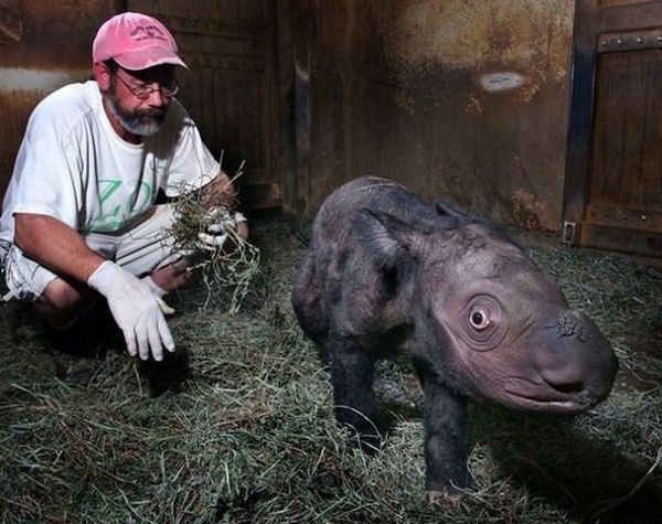 Daily picdump (153 pics)