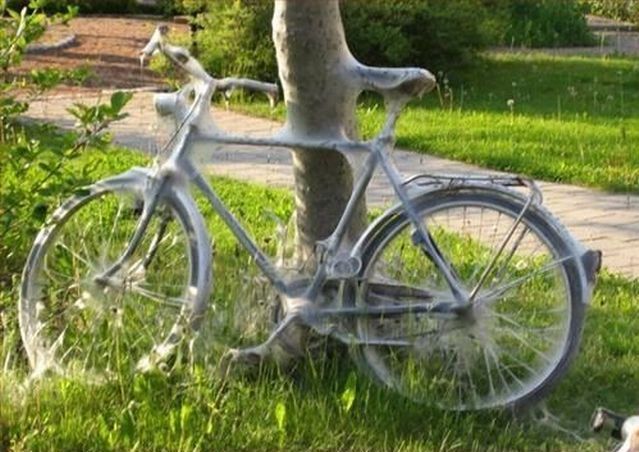 Daily picdump (153 pics)