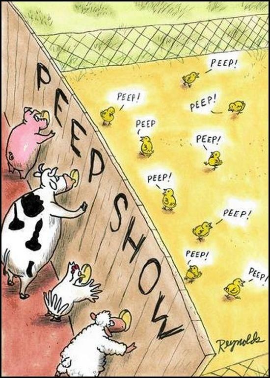 Daily picdump (153 pics)