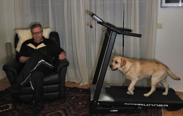 Daily picdump (153 pics)