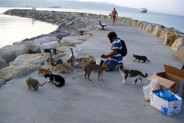 Daily picdump (153 pics)