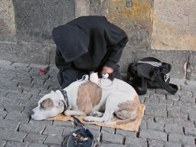 Daily picdump (153 pics)