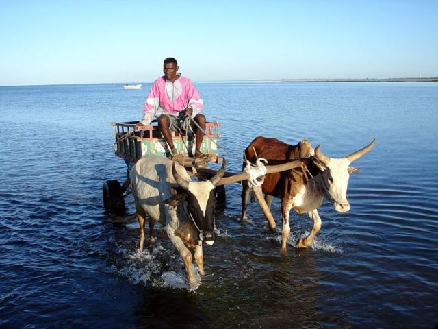 Daily picdump (153 pics)