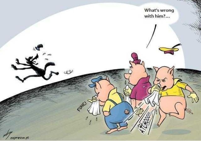 Daily picdump (153 pics)