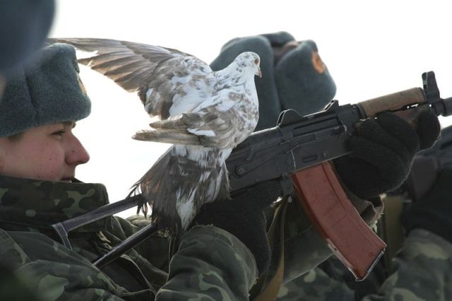 Daily picdump (153 pics)