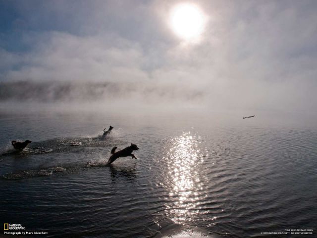 Daily picdump (153 pics)