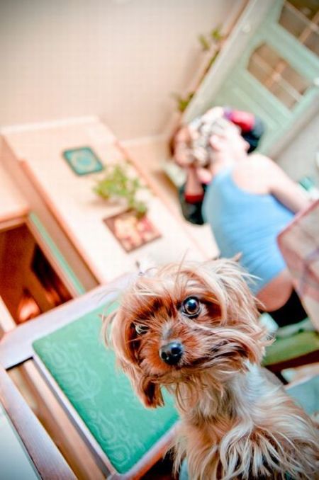 Daily picdump (153 pics)