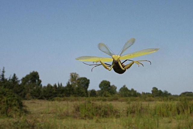 Daily picdump (153 pics)