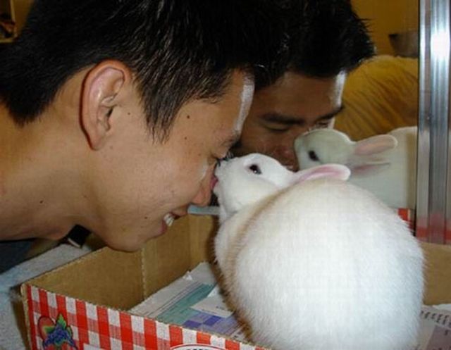 Daily picdump (153 pics)