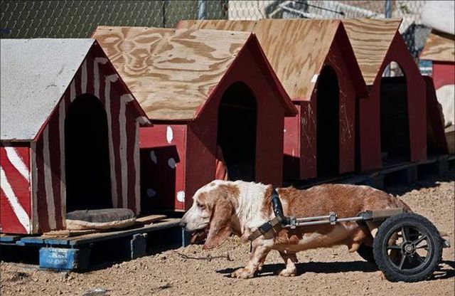 Daily picdump (153 pics)