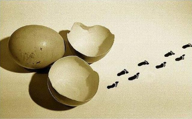 Daily picdump (153 pics)