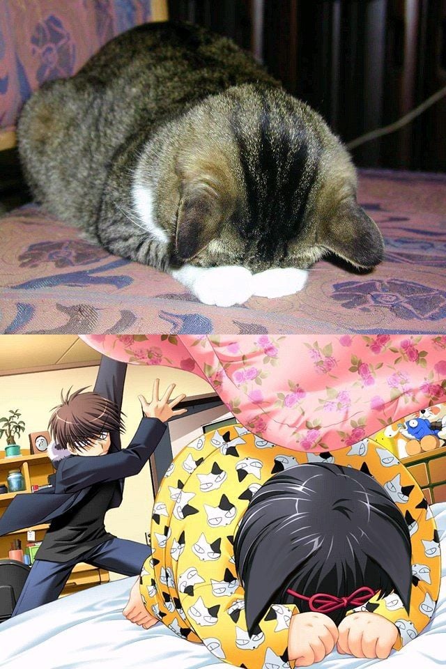 WTF Pictures Compilation. Part 2 (76 pics)