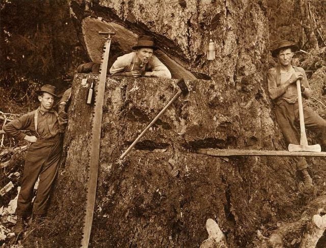 WTF Pictures Compilation. Part 2 (76 pics)