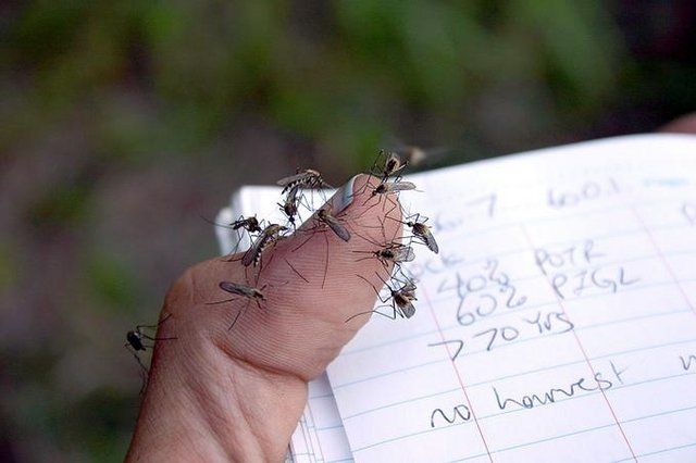 WTF Pictures Compilation. Part 2 (76 pics)