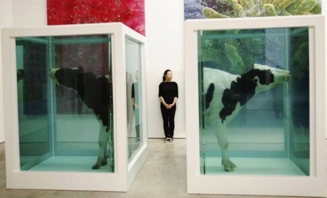 Daily picdump (154 pics)