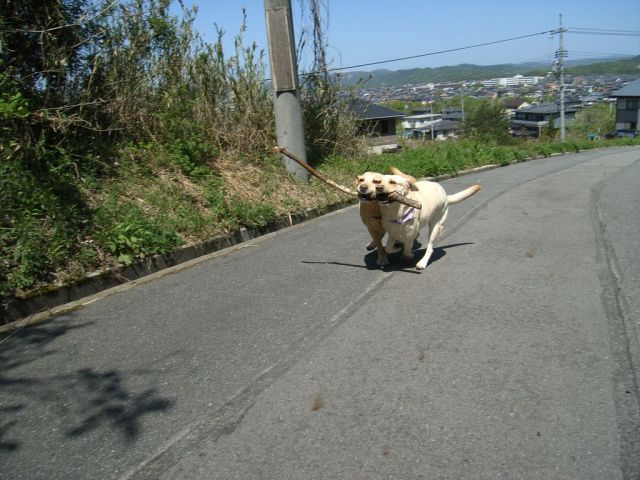 Daily picdump (154 pics)