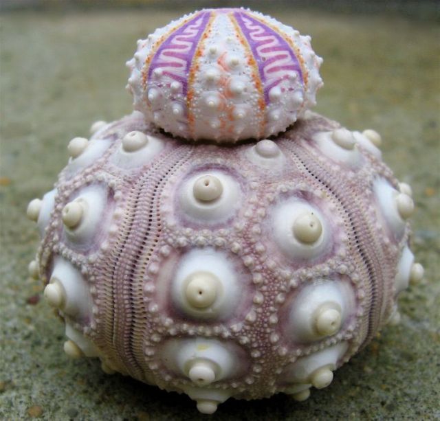 Daily picdump (154 pics)