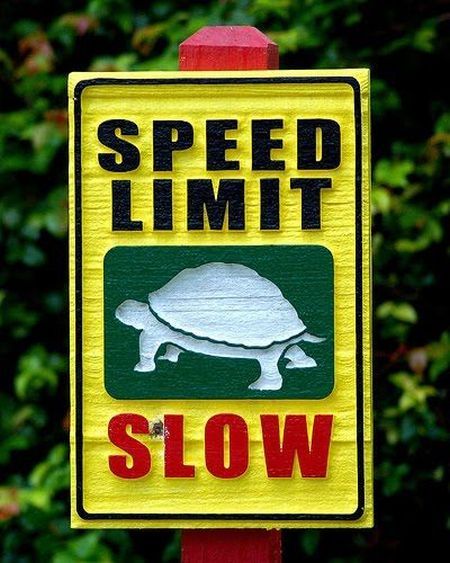 Daily picdump (154 pics)