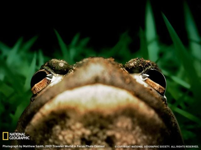 Daily picdump (154 pics)