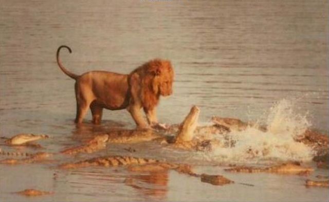 Daily picdump (154 pics)