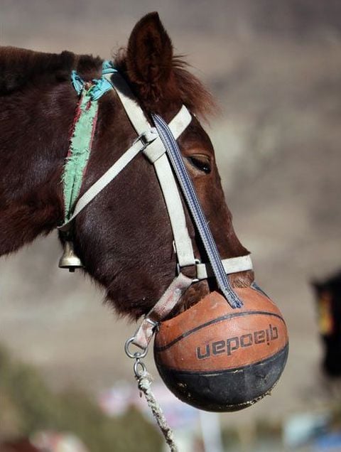 Daily picdump (154 pics)