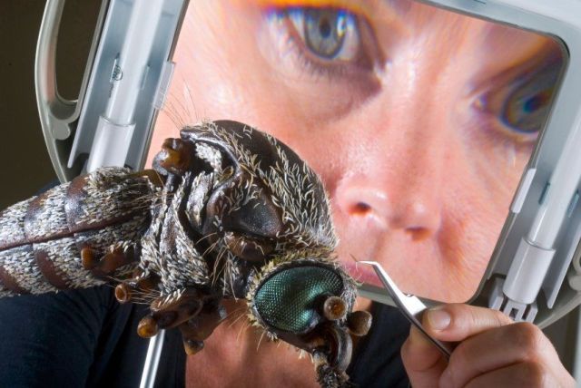 Daily picdump (154 pics)