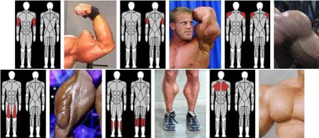 When Synthol Utilisation Goes Wrong! (53 pics)