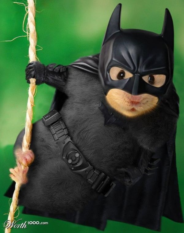 Daily picdump (127 pics)