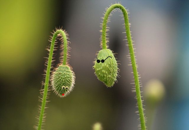 Daily picdump (127 pics)