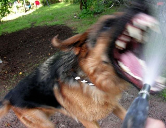 Daily picdump (127 pics)