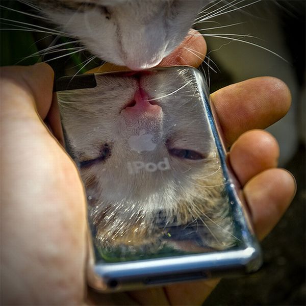 Daily picdump (127 pics)