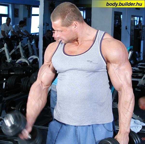 Bodybuilders (90 pics)