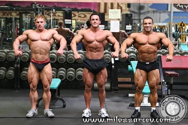 Bodybuilders (90 pics)