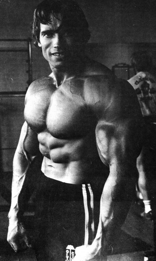 Bodybuilders (90 pics)