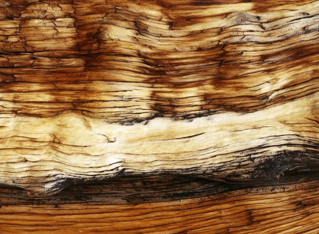 Beautiful Patterns in Nature from National Geographic. Part 2 (78 pics)