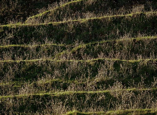 Beautiful Patterns in Nature from National Geographic. Part 2 (78 pics)