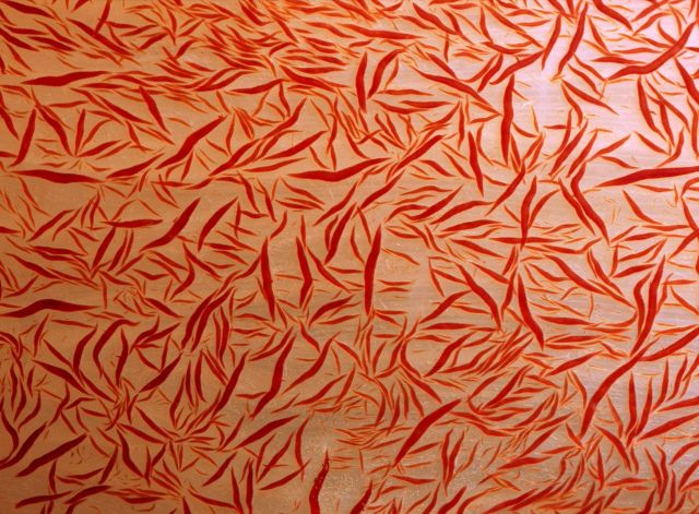 Beautiful Patterns in Nature from National Geographic. Part 2 (78 pics)