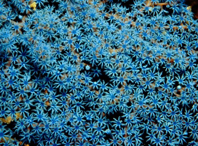 Beautiful Patterns in Nature from National Geographic. Part 2 (78 pics)