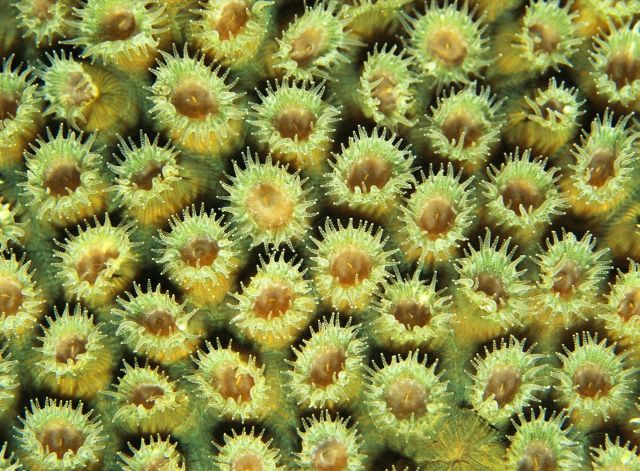 Beautiful Patterns in Nature from National Geographic. Part 2 (78 pics)