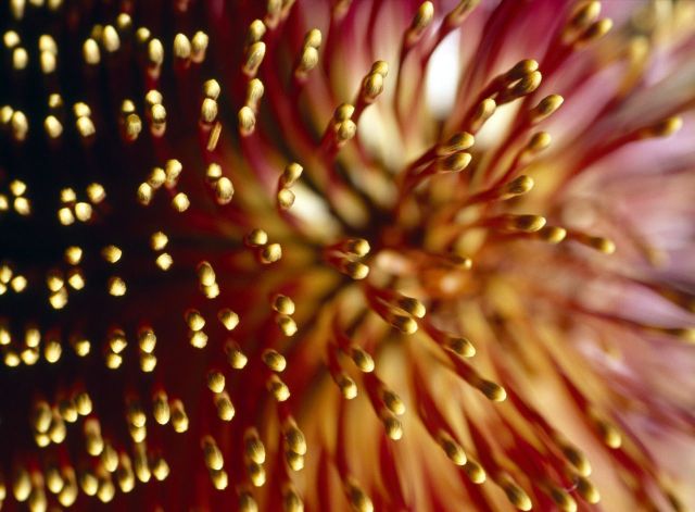 Beautiful Patterns in Nature from National Geographic. Part 2 (78 pics)