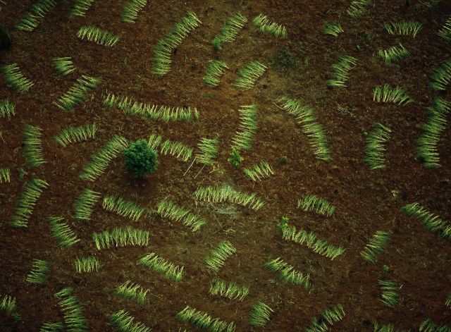 Beautiful Patterns in Nature from National Geographic. Part 2 (78 pics)