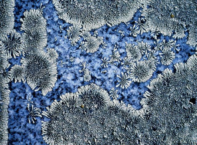 Beautiful Patterns in Nature from National Geographic. Part 2 (78 pics)