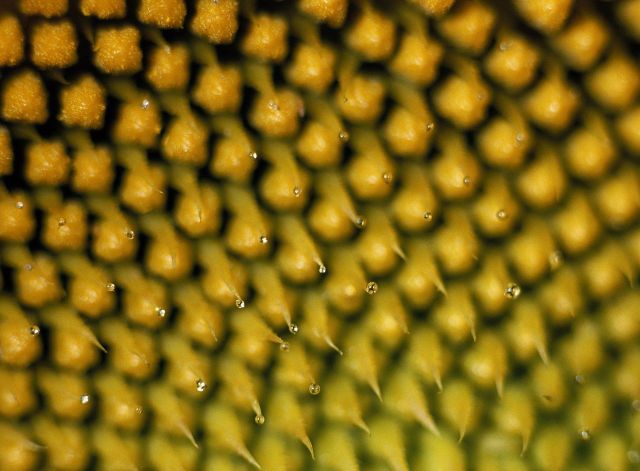 Beautiful Patterns in Nature from National Geographic. Part 2 (78 pics)