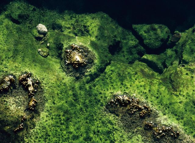 Beautiful Patterns in Nature from National Geographic. Part 2 (78 pics)