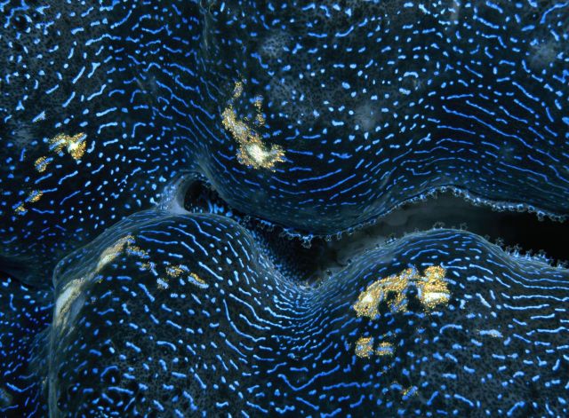 Beautiful Patterns in Nature from National Geographic. Part 2 (78 pics)