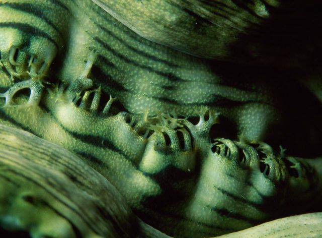 Beautiful Patterns in Nature from National Geographic. Part 2 (78 pics)